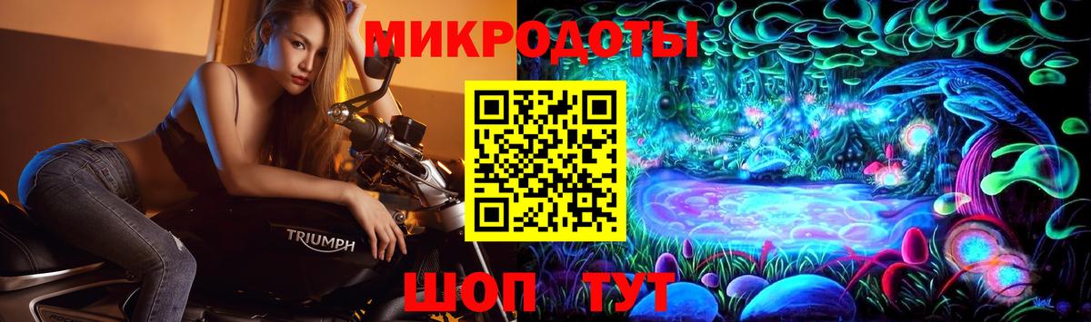 Галлюциногенные грибы Magic Shrooms  Вход с VPN  Гагарин  Галлюциногенные грибы прущие грибы 